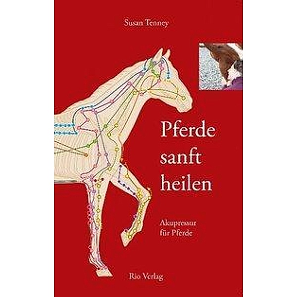 Tenney, S: Pferde sanft heilen, Susan Tenney