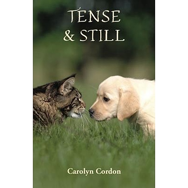 Tense & Still, Carolyn Cordon