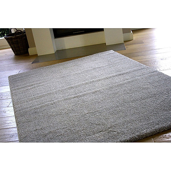 Teppich Rasta, silber (Größe: 160 x 230 cm)