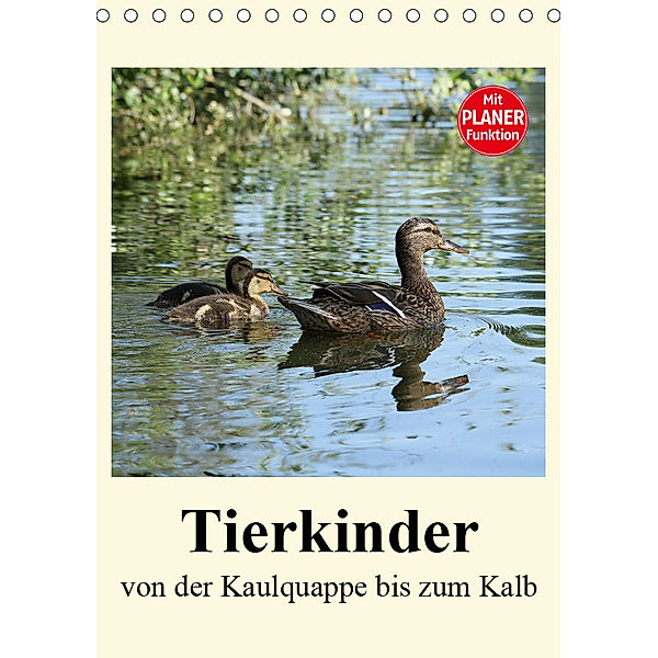 Terkinder von der Kaulquappe bis zum Kalb (Tischkalender 2019 DIN A5 hoch), Anja Bagunk