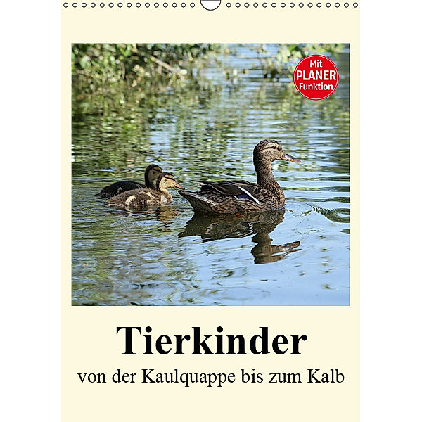 Terkinder von der Kaulquappe bis zum Kalb (Wandkalender 2019 DIN A3 hoch), Anja Bagunk