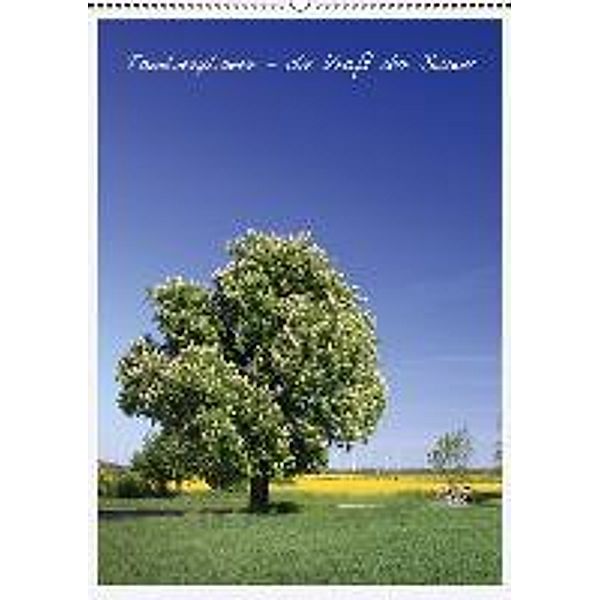 Terminplaner - Die Kraft der Bäume (Wandkalender 2015 DIN A2 hoch), Karina Baumgart