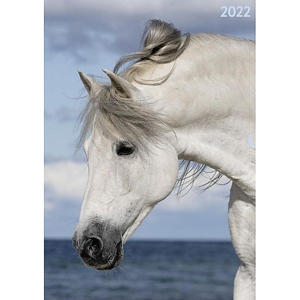 Terminplaner Pferd 2022