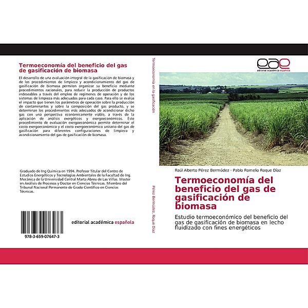 Termoeconomía del beneficio del gas de gasificación de biomasa, Raúl Alberto Pérez Bermúdez, Pablo Romelio Roque Díaz