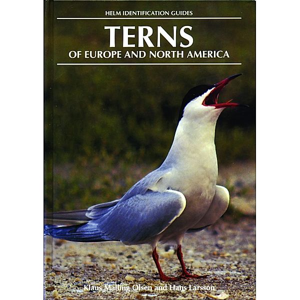 Terns of Europe and North America / Helm Identification Guides, Hans Larsson, Klaus Malling Olsen