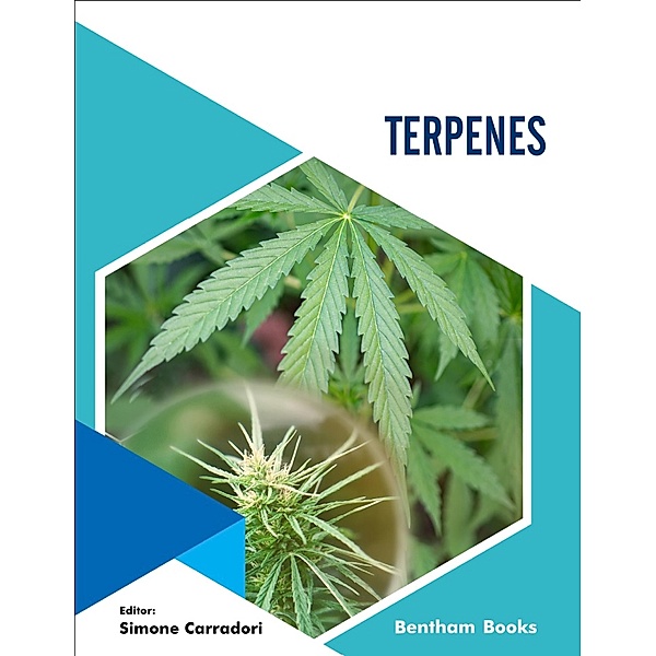 Terpenes / Medicinal Chemistry Lessons From Nature Bd.2