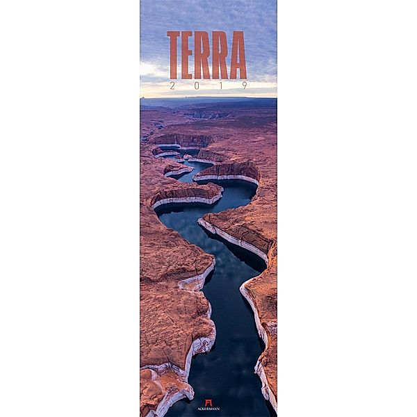 Terra 2019