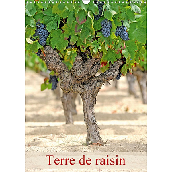 Terre de raisin (Calendrier mural 2021 DIN A3 vertical), Patrice THEBAULT