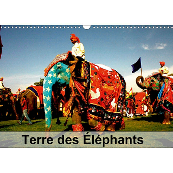 Terre des Éléphants (Calendrier mural 2021 DIN A3 horizontal), Dominique Leroy