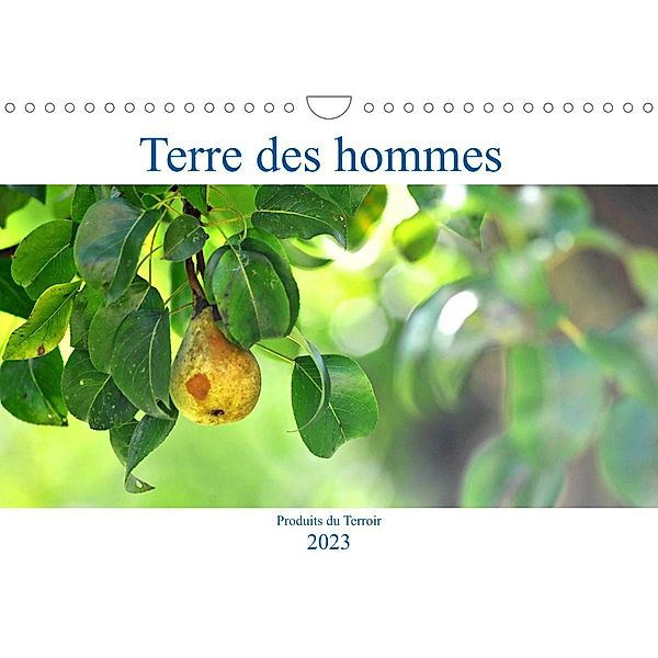 Terre des hommes Produits du Terroir (Calendrier mural 2023 DIN A4 horizontal), Patrice Thébault