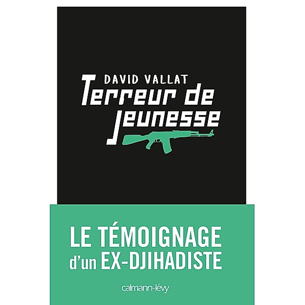 Terreur de jeunesse / Documents, Actualités, Société, David Vallat