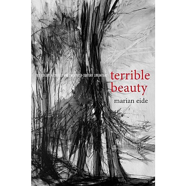 Terrible Beauty / Cultural Frames, Framing Culture, Marian Eide