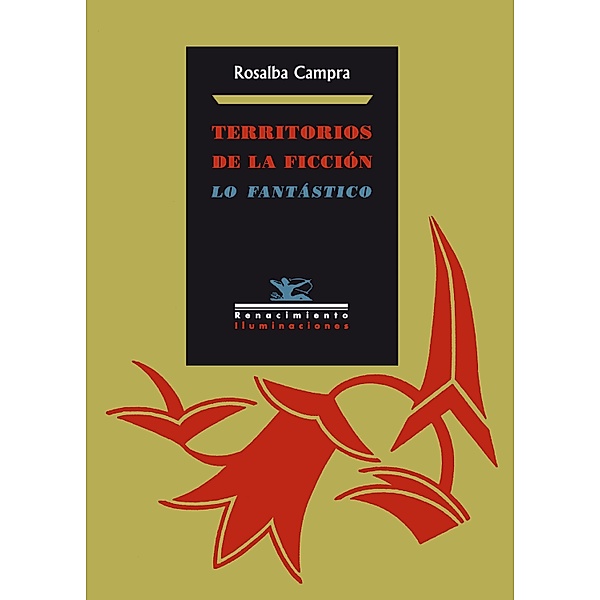 Territorios de la ficción / Iluminaciones, Rosalba Campra