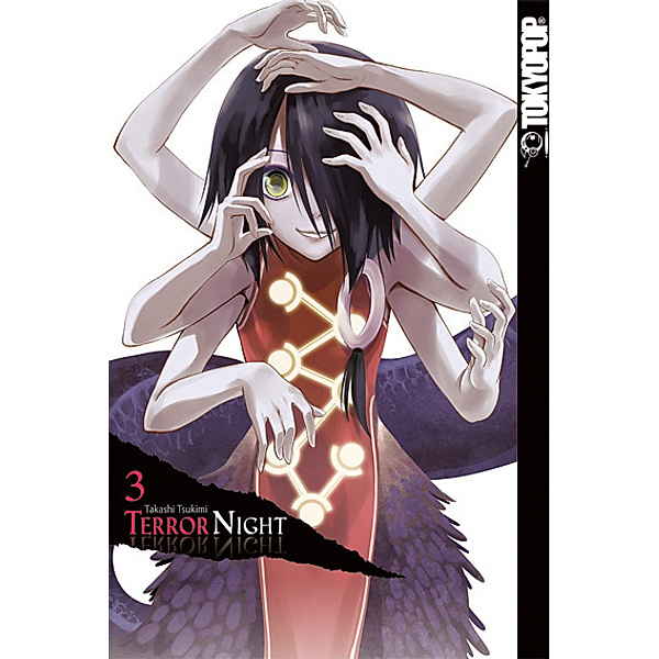 Terror Night Bd.3, Takashi Tsukimi