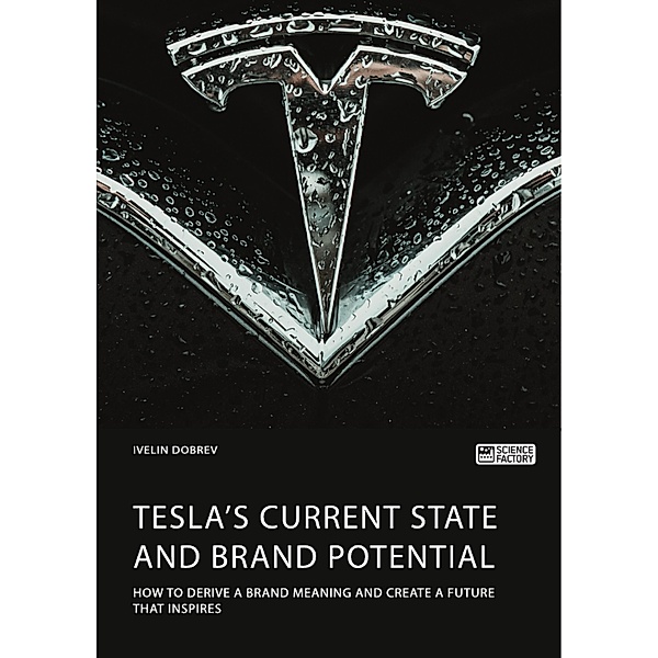 Tesla's current state and brand potential. How to derive a brand meaning and create a future that inspires, Ivelin Dobrev