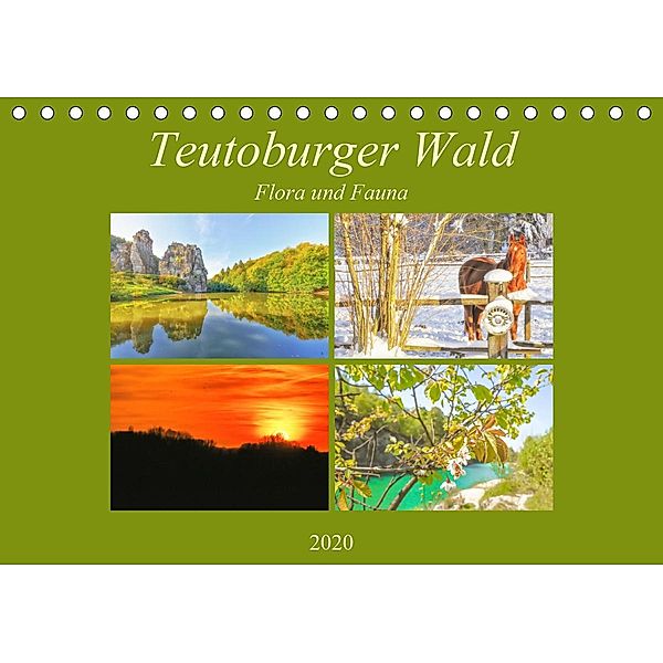 Teutoburger Wald - Flora und Fauna (Tischkalender 2020 DIN A5 quer), Bettina Hackstein