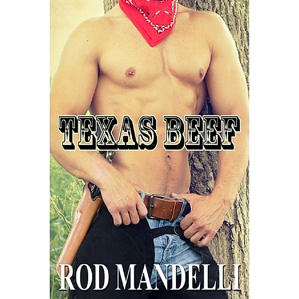 Texas Beef (Gay Sex Confessions, #4) / Gay Sex Confessions, Rod Mandelli