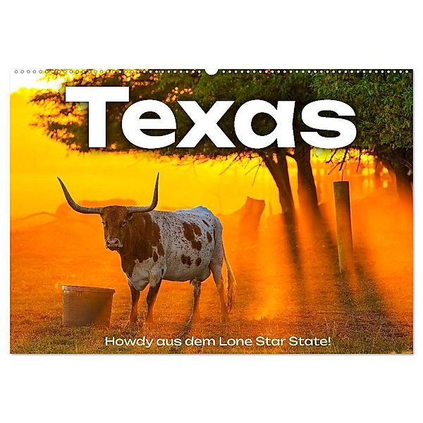 Texas - Howdy aus dem Lone Star State! (Wandkalender 2024 DIN A2 quer), CALVENDO Monatskalender, M. Scott