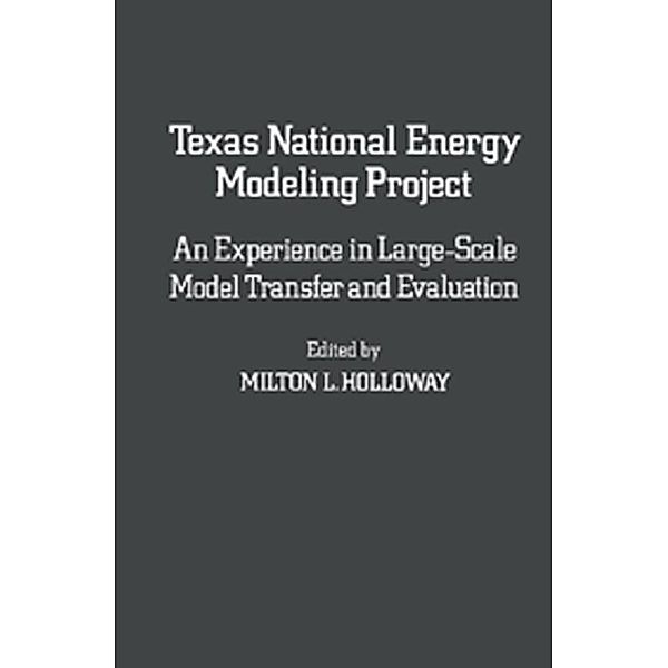 Texas National Energy Modeling Project