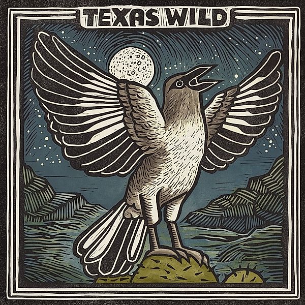 Texas Wild (Vinyl), Diverse Interpreten