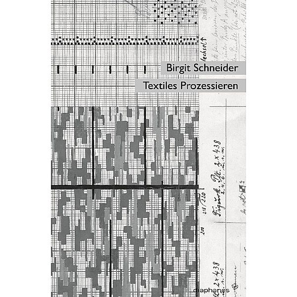 Textiles Prozessieren, Birgit Schneider