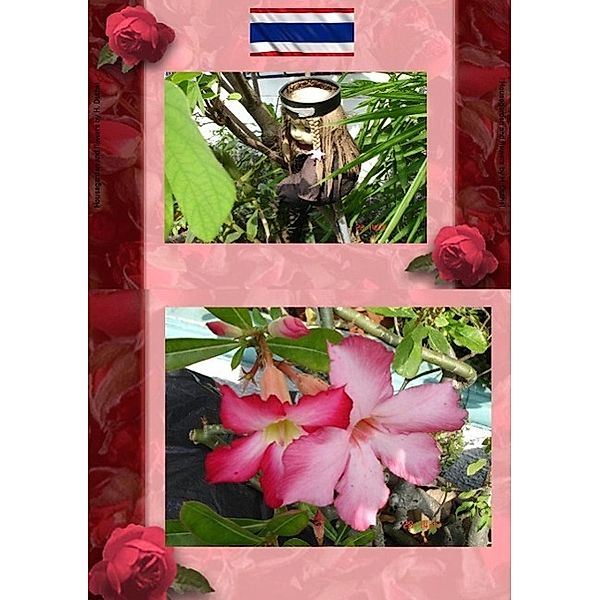 Thai Blumen und Pfanzen Photobuch von Heinz Duthel, Heinz Duthel