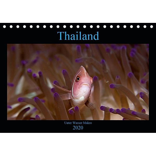 Thailand - Unter Wasser Makro (Tischkalender 2020 DIN A5 quer), ralf schmidt xway-image.de