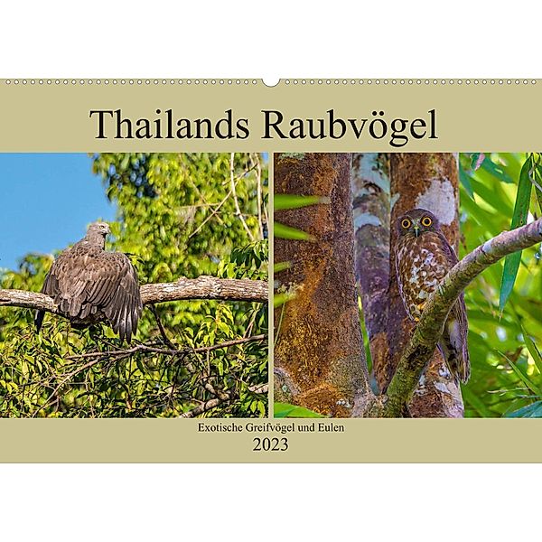 THAILANDS RAUBVÖGEL Exotische Greifvögel und Eulen (Wandkalender 2023 DIN A2 quer), Arne Wünsche