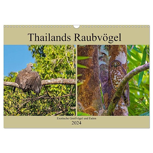 THAILANDS RAUBVÖGEL Exotische Greifvögel und Eulen (Wandkalender 2024 DIN A3 quer), CALVENDO Monatskalender, Arne Wünsche