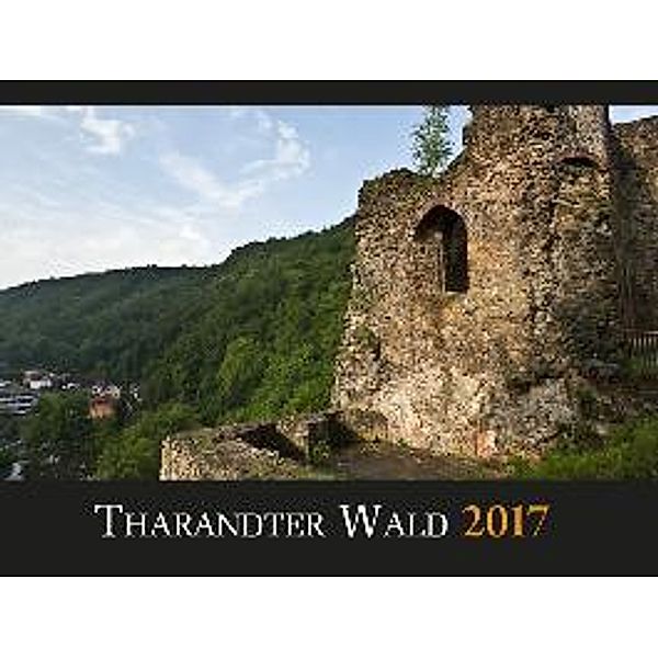 Tharandter Wald 2017