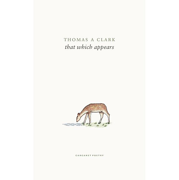 that which appears, Thomas A Clark