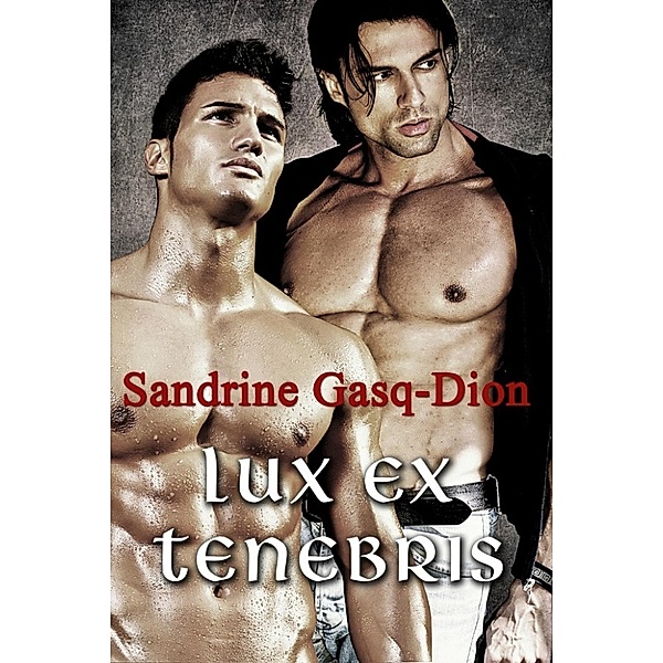 The 12 Olympians: Lux Ex Tenebris (The 12 Olympians, #3), Sandrine Gasq-Dion