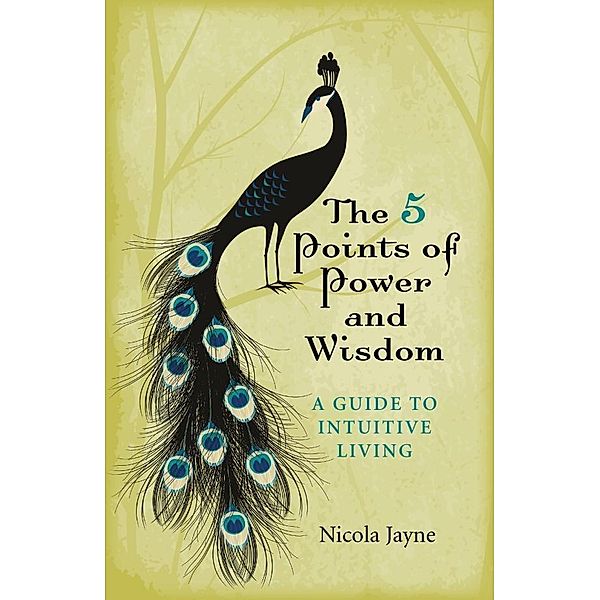 The 5 Points of Power and Wisdom, Nicola Jayne