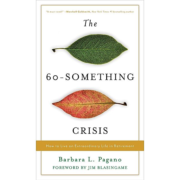 The 60-Something Crisis, Barbara L. Pagano