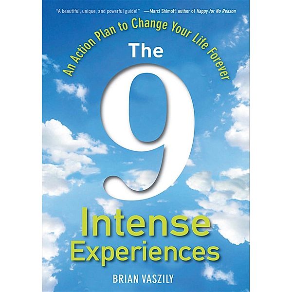 The 9 Intense Experiences, Brian Vaszily