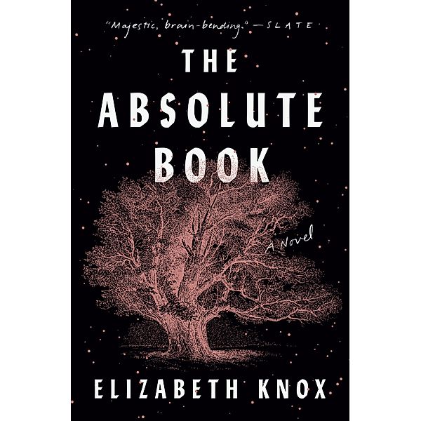 The Absolute Book / Viking, Elizabeth Knox