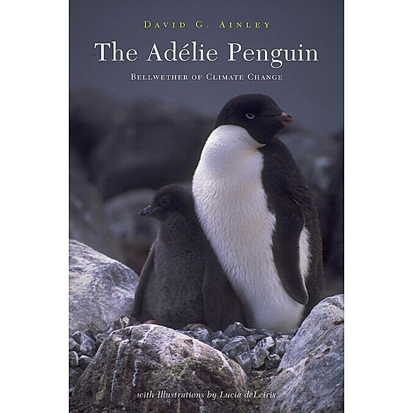 The Adélie Penguin, David Ainley