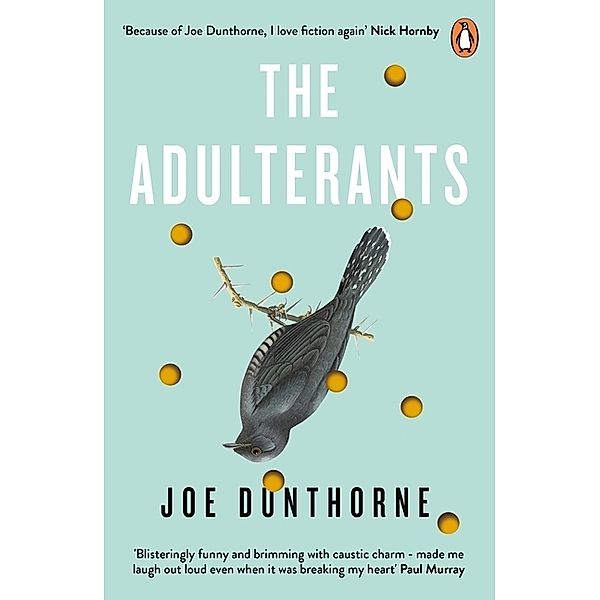 The Adulterants, Joe Dunthorne