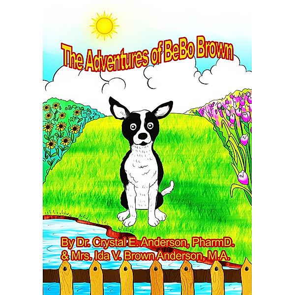 The Adventures of BeBo Brown, Crystal E. Anderson, Ida V. Brown Anderson