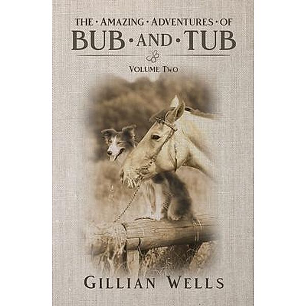 The Adventures of Bub & Tub Volume Two, Gillian Wells