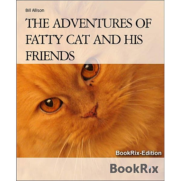 THE ADVENTURES OF FATTY CAT AND HIS FRIENDS, Bill Allison