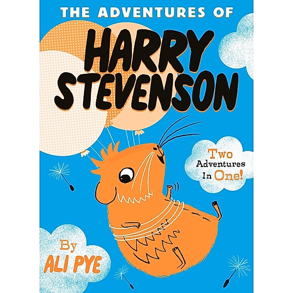 The Adventures of Harry Stevenson, Ali Pye