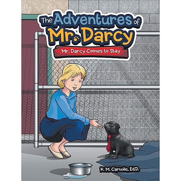 The Adventures of Mr. Darcy, K. M. Carwile Ed. D.