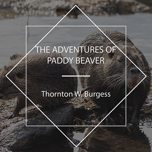 The Adventures of Paddy Beaver, Thornton W. Burgess