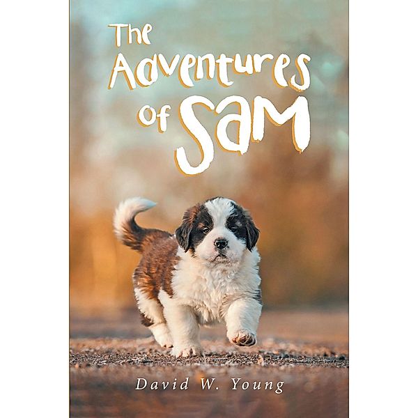 The Adventures of Sam, David W. Young