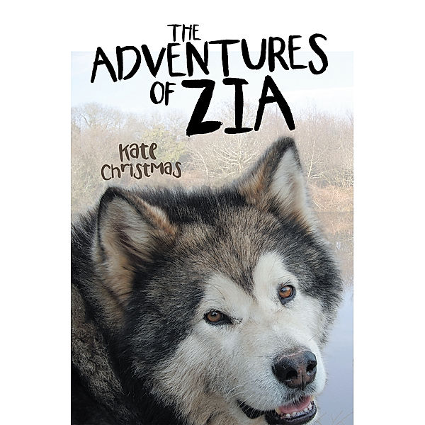 The Adventures of Zia, Kate Christmas