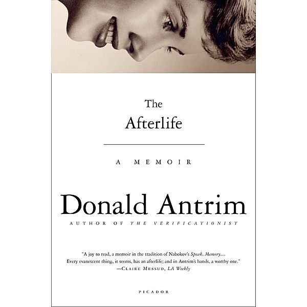 The Afterlife, Donald Antrim