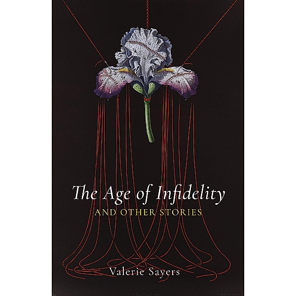 The Age of Infidelity and Other Stories, Valerie Sayers