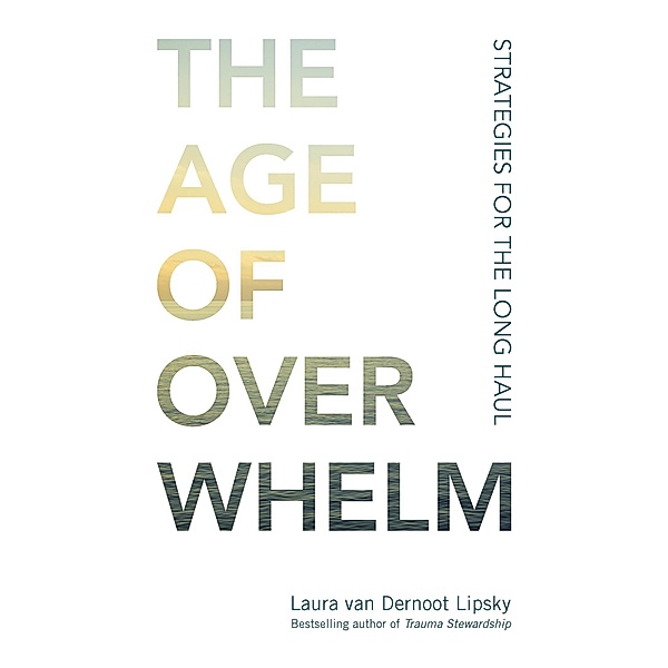 The Age of Overwhelm, Laura van Dernoot Lipsky