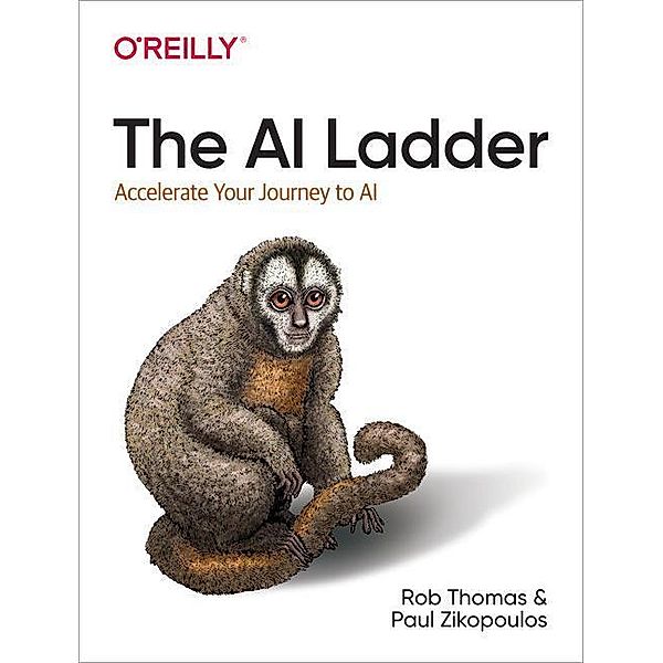 The AI Ladder, Rob Thomas, Paul Zikopoulos